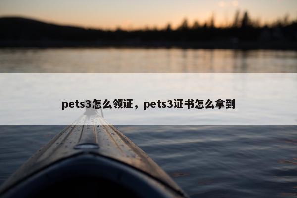 pets3怎么领证，pets3证书怎么拿到