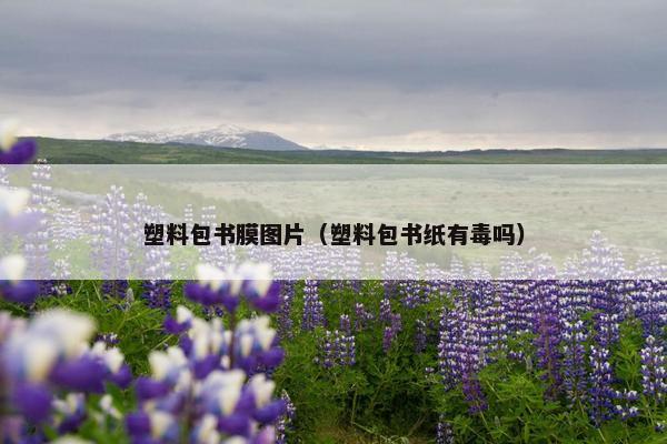 塑料包书膜图片（塑料包书纸有毒吗）