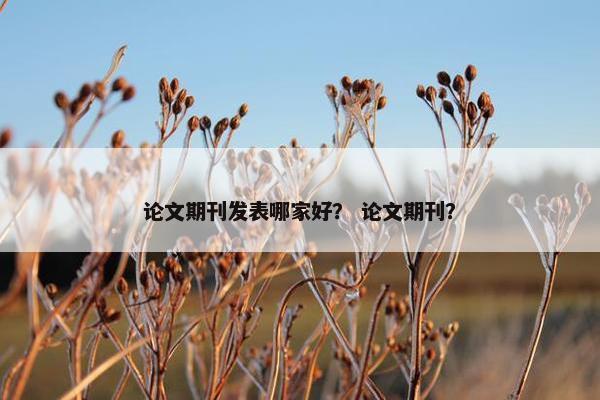 论文期刊发表哪家好？ 论文期刊？