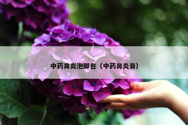 中药鼻炎泡脚包（中药鼻炎膏）