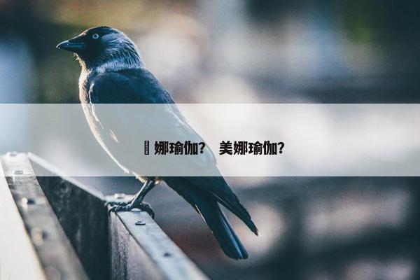 坣娜瑜伽？ 美娜瑜伽？