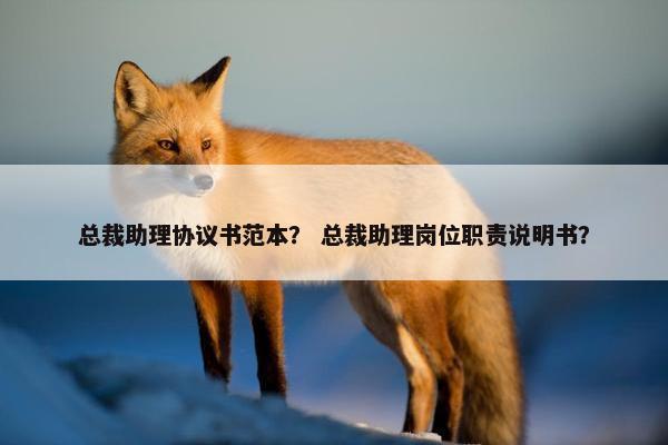 总裁助理协议书范本？ 总裁助理岗位职责说明书？