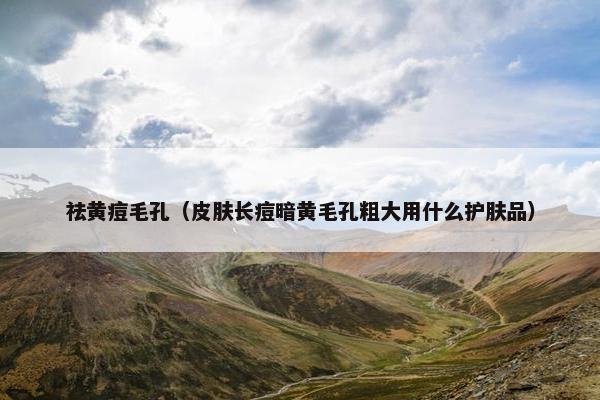 祛黄痘毛孔（皮肤长痘暗黄毛孔粗大用什么护肤品）