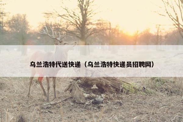 乌兰浩特代送快递（乌兰浩特快递员招聘网）