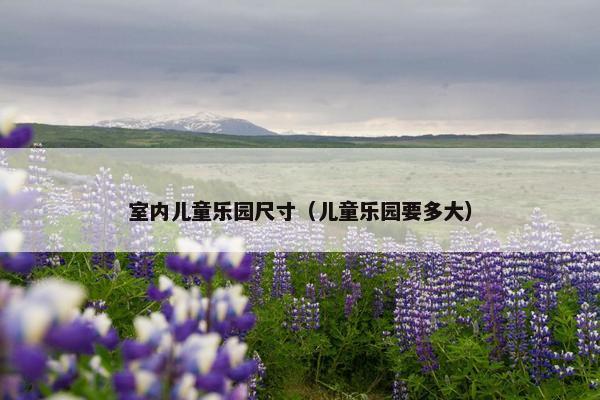 室内儿童乐园尺寸（儿童乐园要多大）