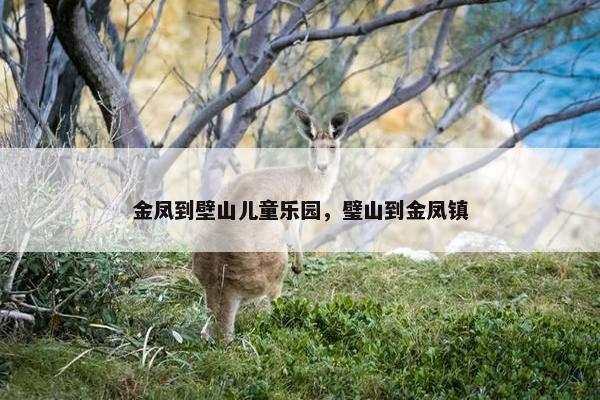 金凤到壁山儿童乐园，璧山到金凤镇