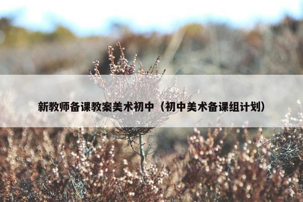 新教师备课教案美术初中（初中美术备课组计划）