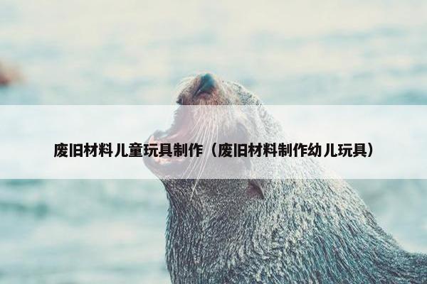废旧材料儿童玩具制作（废旧材料制作幼儿玩具）