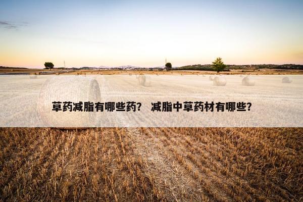 草药减脂有哪些药？ 减脂中草药材有哪些？