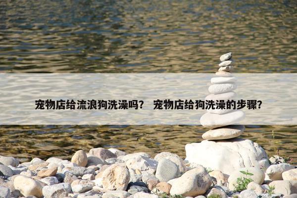 宠物店给流浪狗洗澡吗？ 宠物店给狗洗澡的步骤？