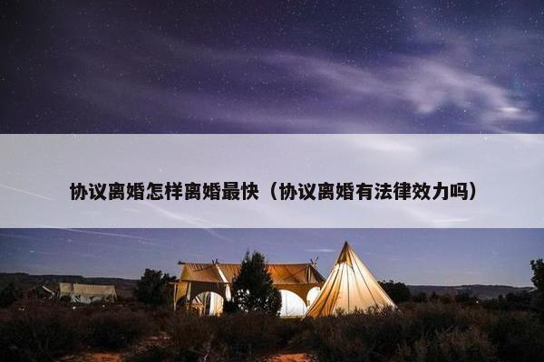 协议离婚怎样离婚最快（协议离婚有法律效力吗）