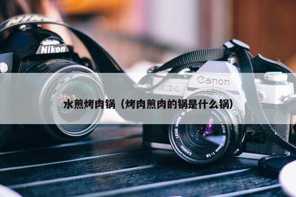 水煎烤肉锅（烤肉煎肉的锅是什么锅）
