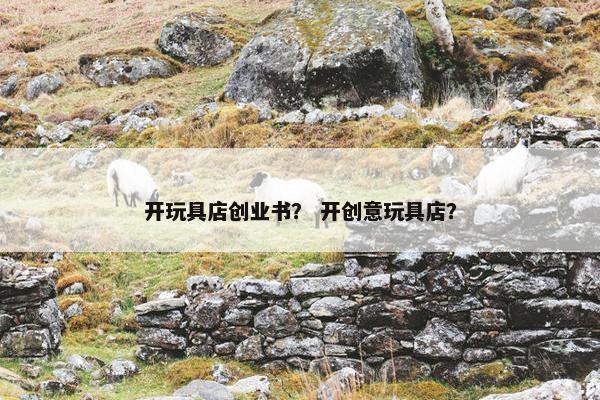开玩具店创业书？ 开创意玩具店？