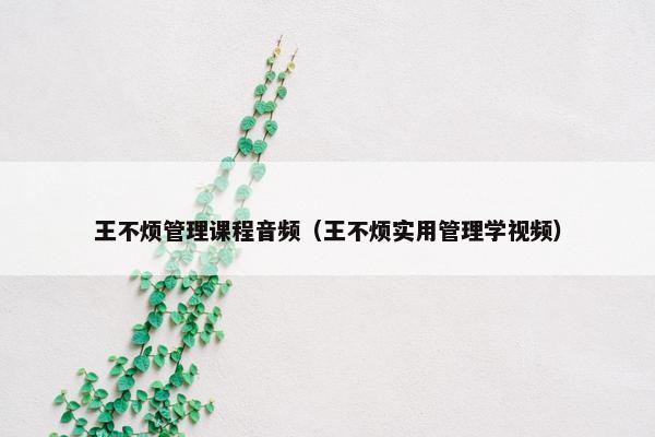 王不烦管理课程音频（王不烦实用管理学视频）