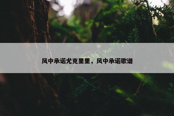 风中承诺尤克里里，风中承诺歌谱