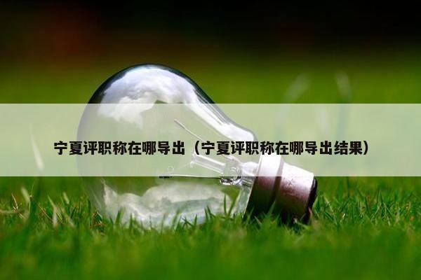 宁夏评职称在哪导出（宁夏评职称在哪导出结果）