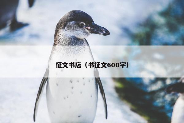 征文书店（书征文600字）