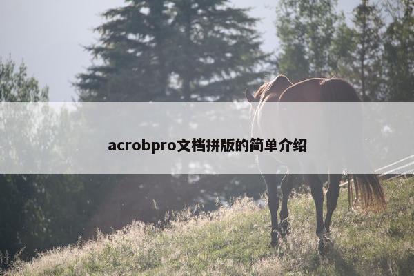 acrobpro文档拼版的简单介绍