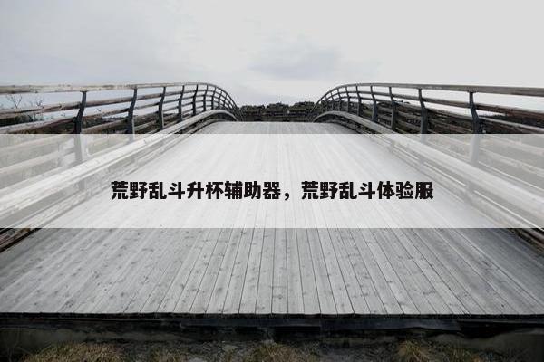 荒野乱斗升杯辅助器，荒野乱斗体验服