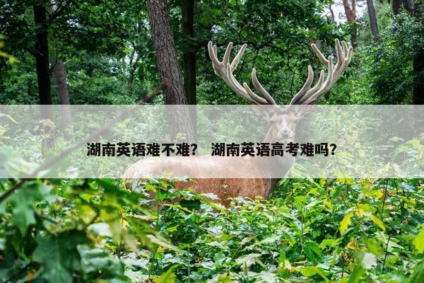 湖南英语难不难？ 湖南英语高考难吗？