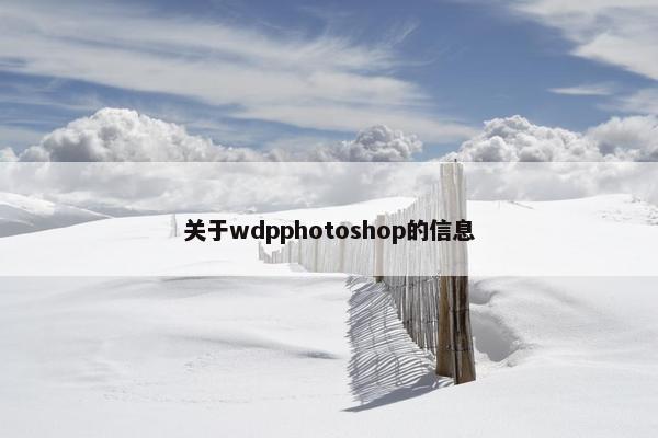 关于wdpphotoshop的信息