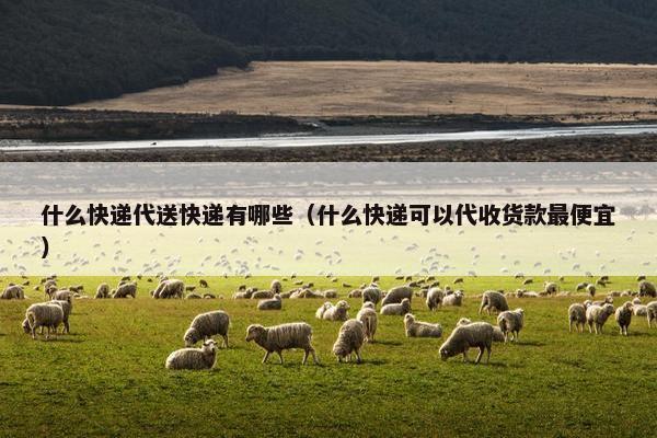 什么快递代送快递有哪些（什么快递可以代收货款最便宜）