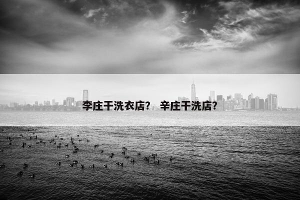 李庄干洗衣店？ 辛庄干洗店？