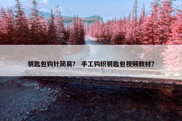 钥匙包钩针简易？ 手工钩织钥匙包视频教材？