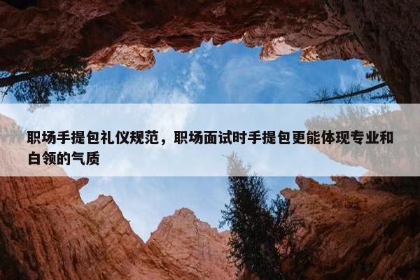 职场手提包礼仪规范，职场面试时手提包更能体现专业和白领的气质