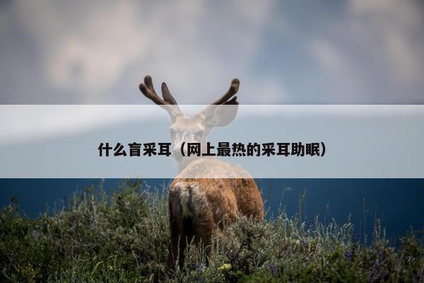 什么盲采耳（网上最热的采耳助眠）
