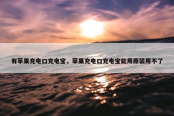 有苹果充电口充电宝，苹果充电口充电宝能用原装用不了