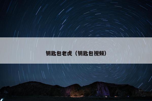 钥匙包老虎（钥匙包视频）