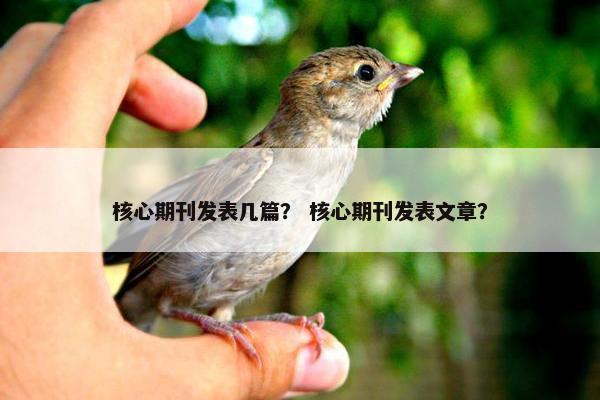 核心期刊发表几篇？ 核心期刊发表文章？