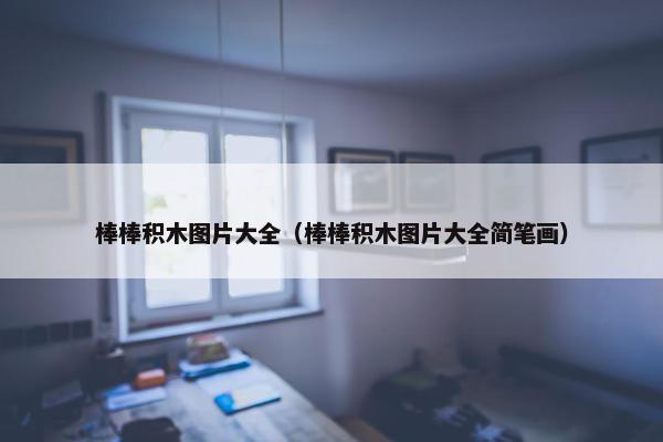 棒棒积木图片大全（棒棒积木图片大全简笔画）