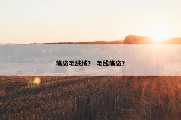 笔袋毛绒绒？ 毛线笔袋？