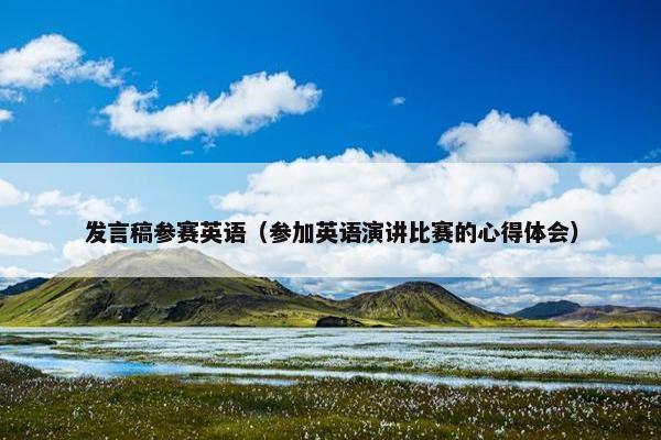 发言稿参赛英语（参加英语演讲比赛的心得体会）
