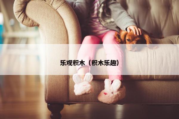 乐观积木（积木乐趣）