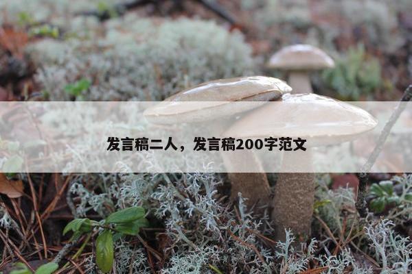 发言稿二人，发言稿200字范文