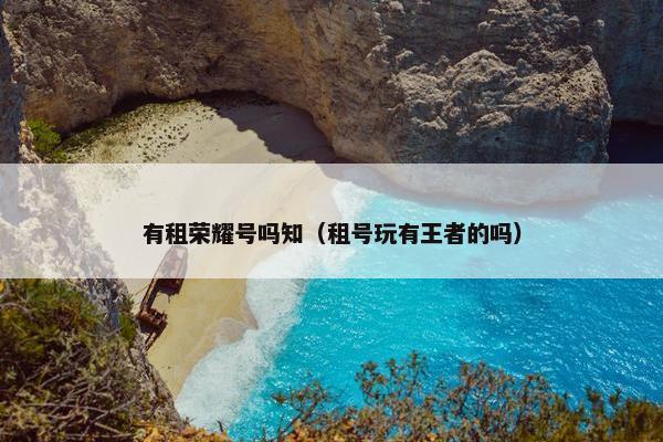 有租荣耀号吗知（租号玩有王者的吗）