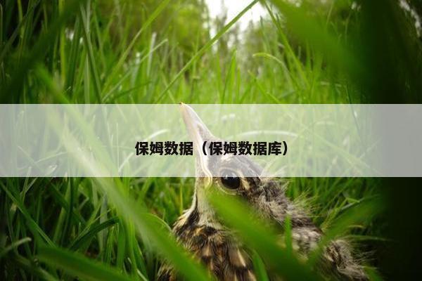 保姆数据（保姆数据库）