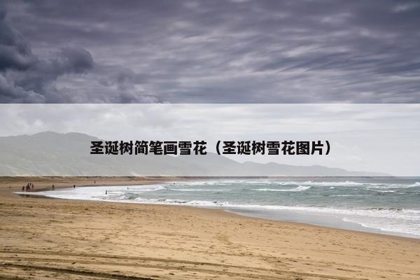 圣诞树简笔画雪花（圣诞树雪花图片）