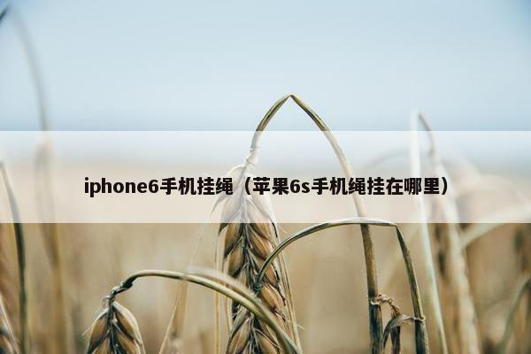 iphone6手机挂绳（苹果6s手机绳挂在哪里）