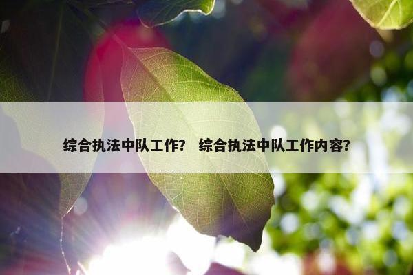 综合执法中队工作？ 综合执法中队工作内容？