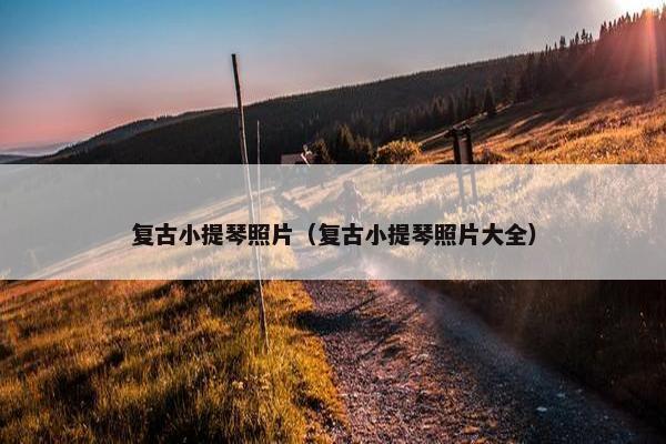 复古小提琴照片（复古小提琴照片大全）