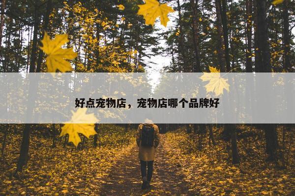 好点宠物店，宠物店哪个品牌好