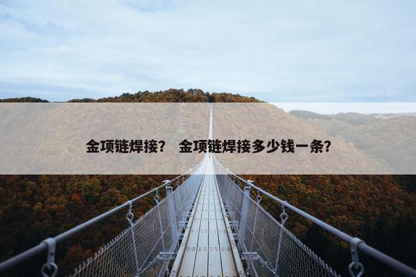 金项链焊接？ 金项链焊接多少钱一条？
