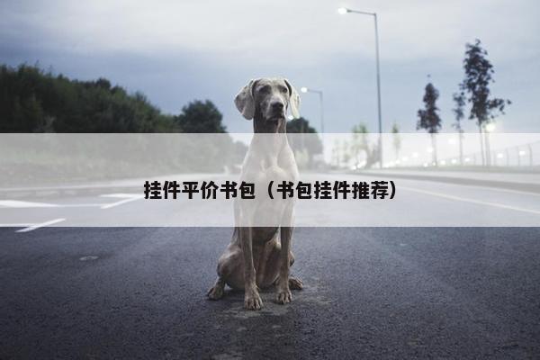 挂件平价书包（书包挂件推荐）