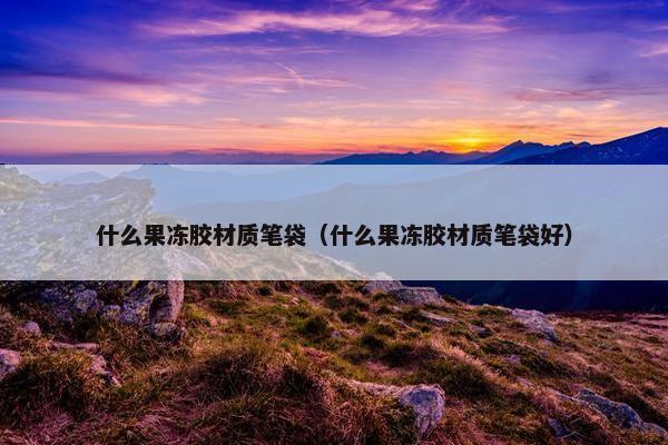 什么果冻胶材质笔袋（什么果冻胶材质笔袋好）