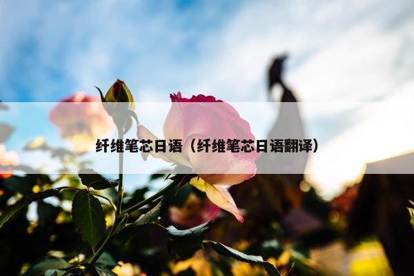 纤维笔芯日语（纤维笔芯日语翻译）
