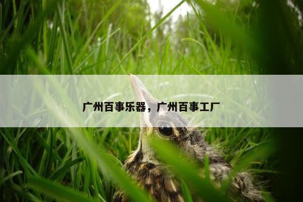 广州百事乐器，广州百事工厂